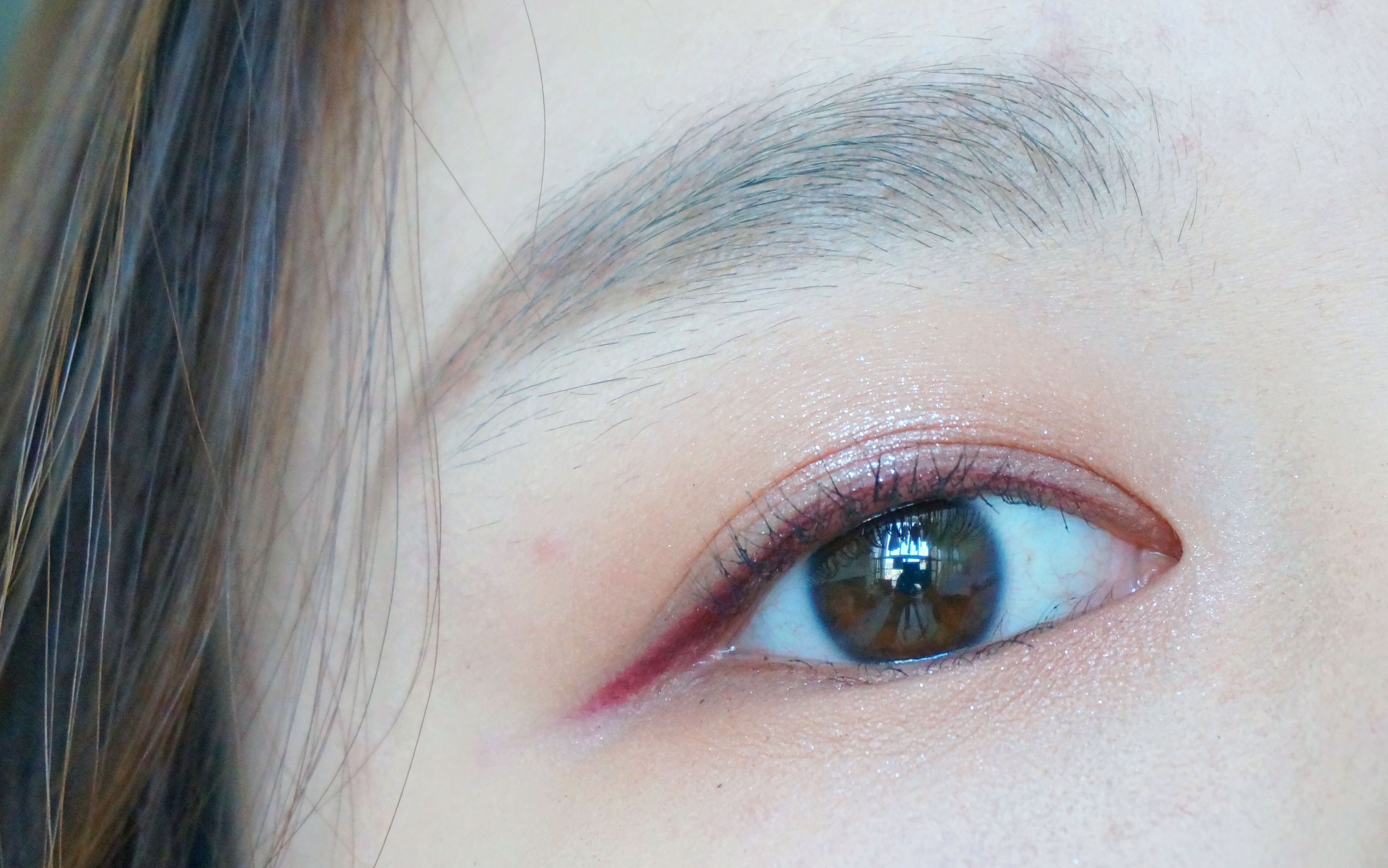 黑龙江省优化营商环境专项行动开办企业工作专班召开会商会议