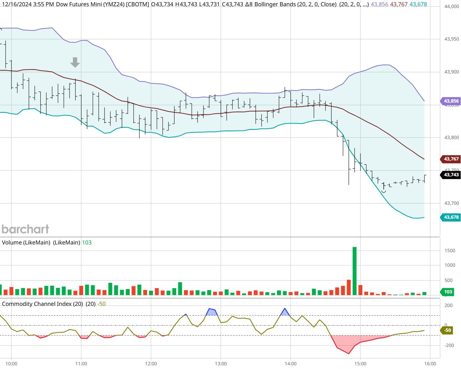 梅州海关供港澳活猪远程检疫监装模式正式启动